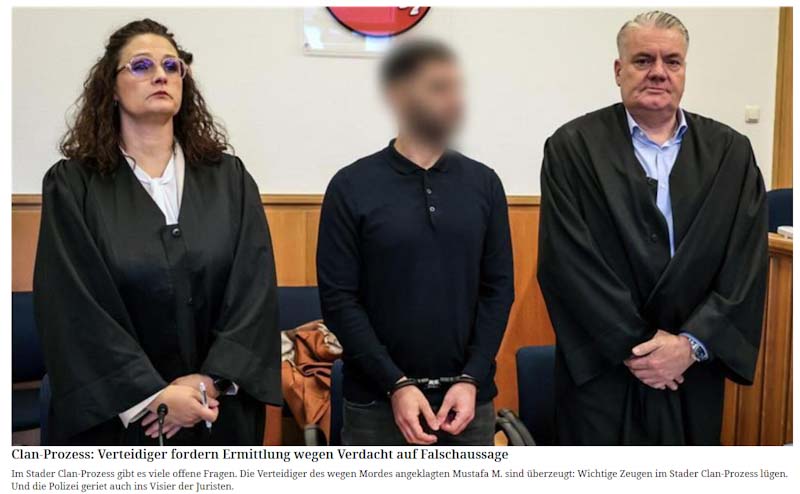 Strafverteidiger organisierte Kriminalität Dinah Busse